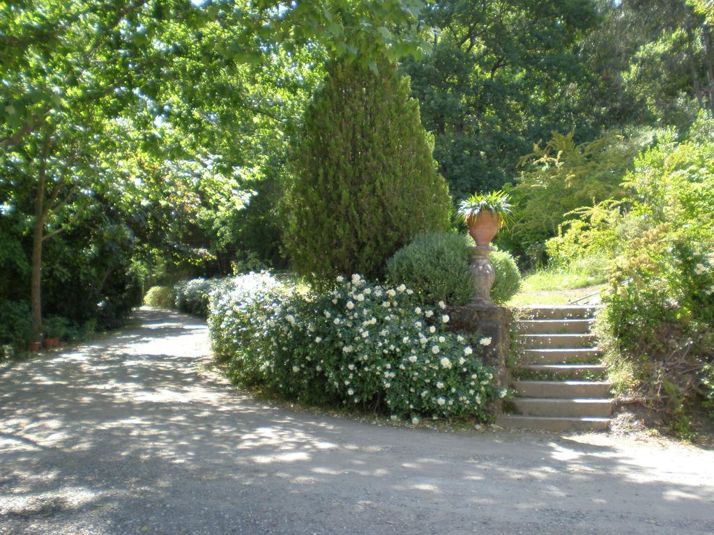 Quinta Da Vargem Unhais Da Serra Kültér fotó